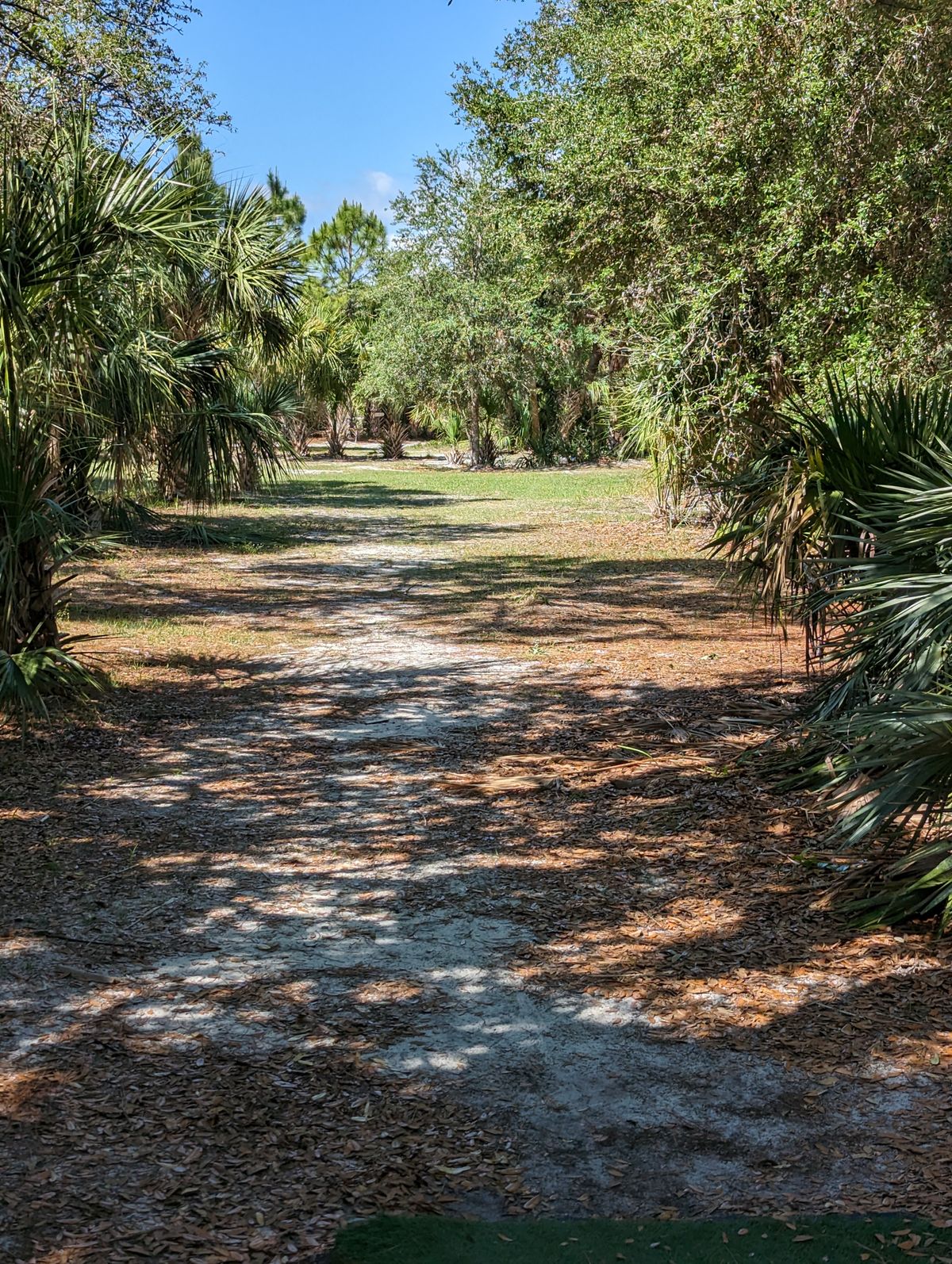 Hole 15 Short Tee