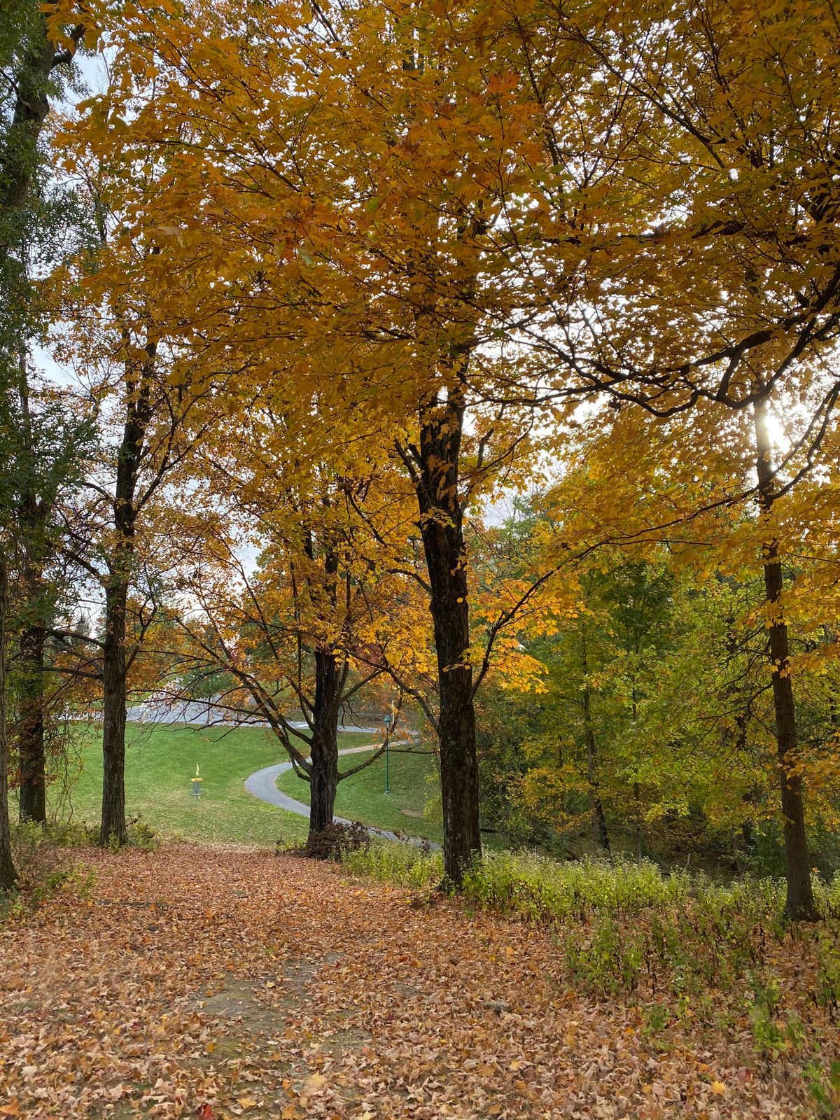Hole #9 October 2020