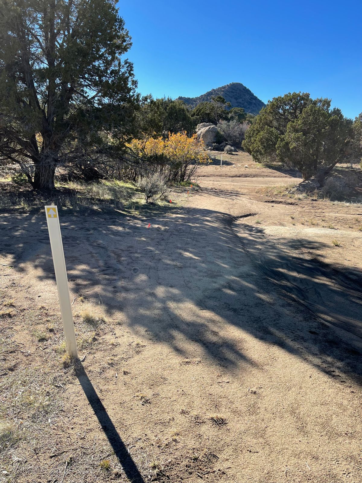 Well marked paths to the next tee (orange flags)