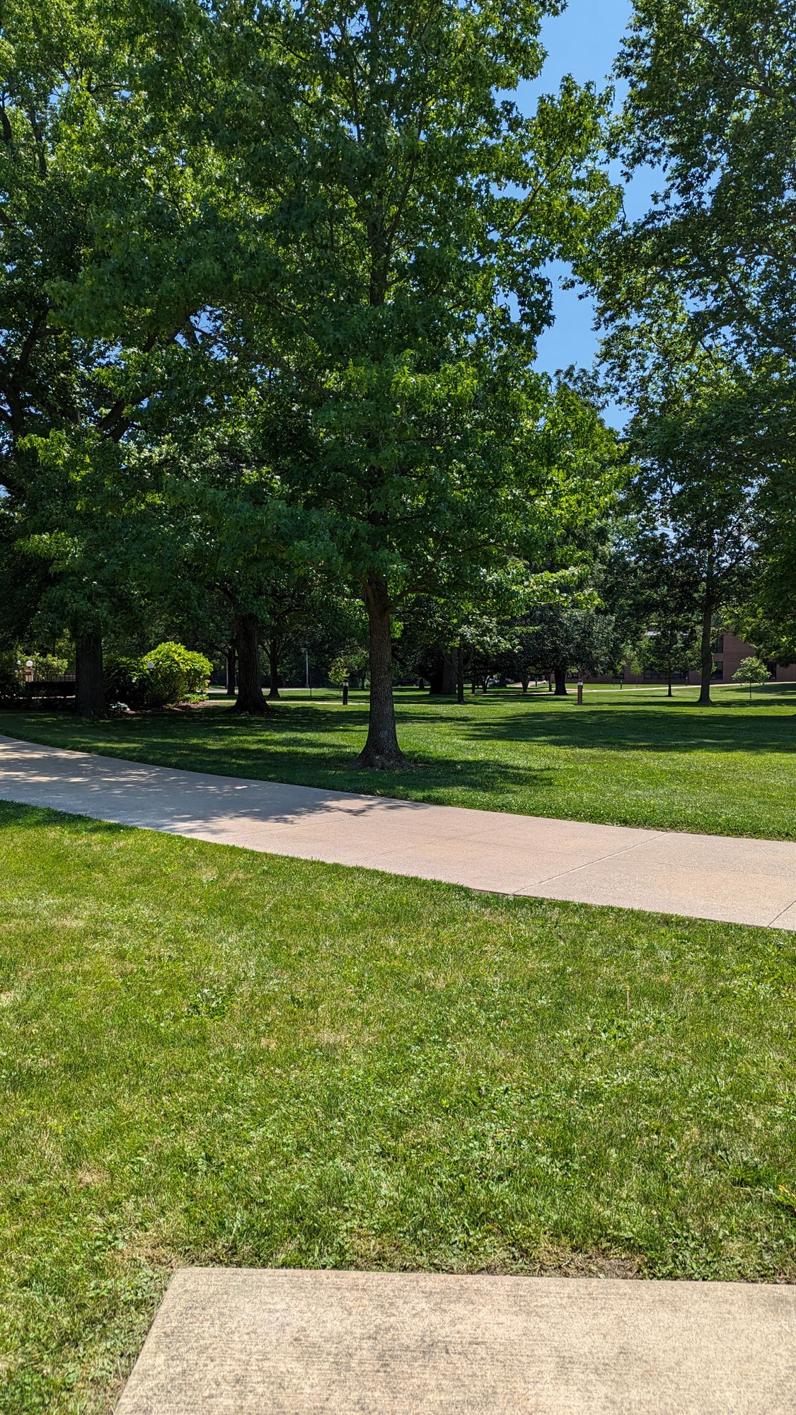 Hole 1 Tee