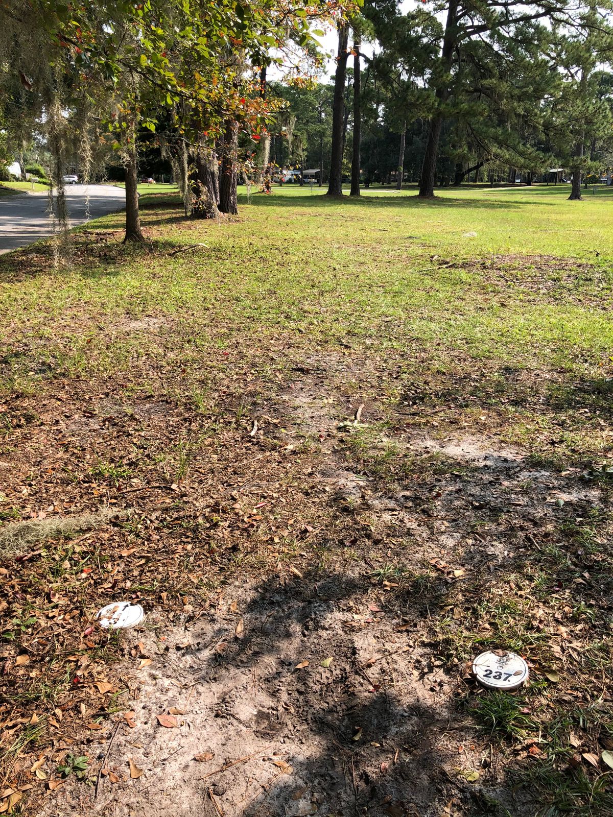 #3 tee