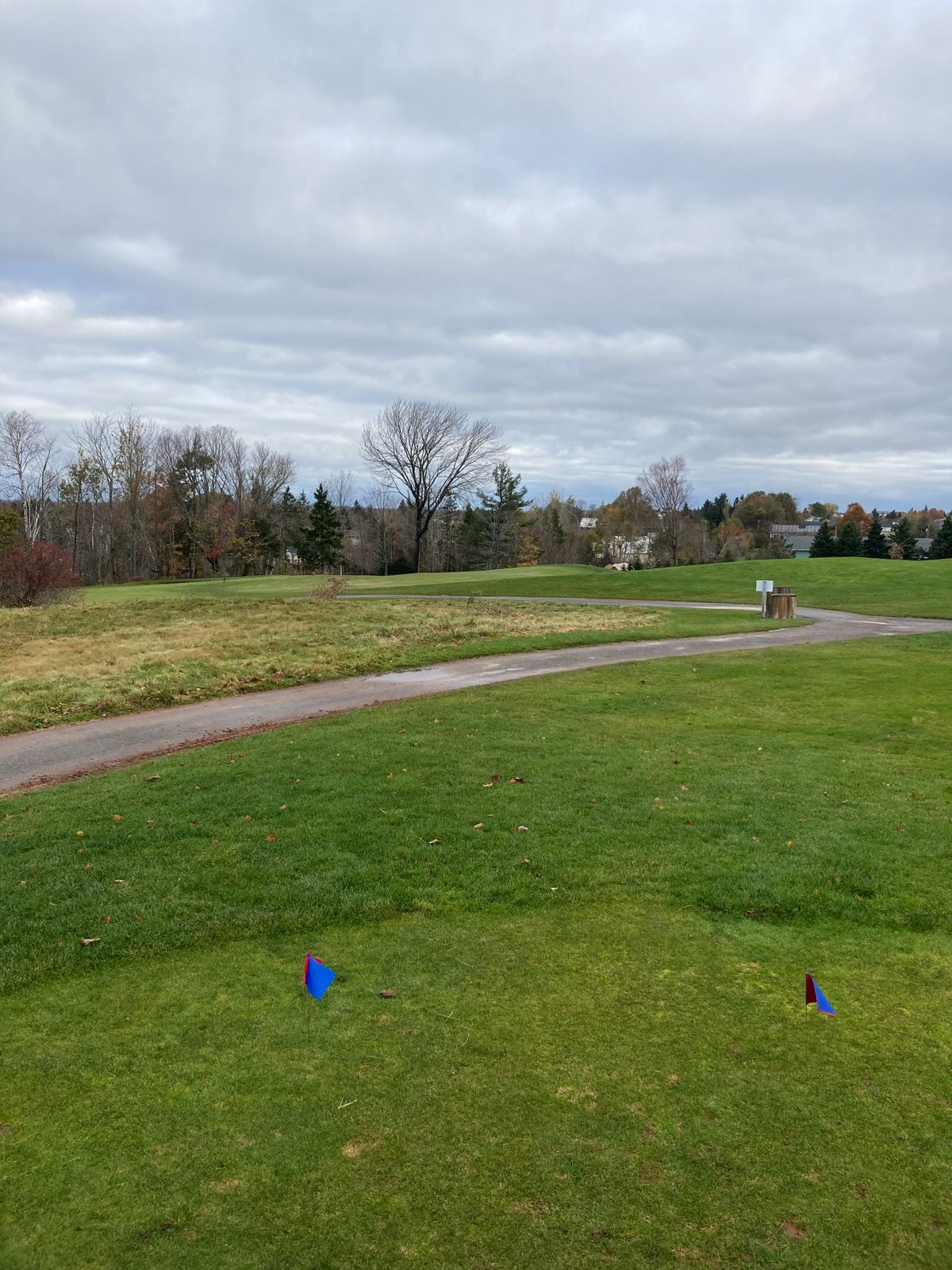 Hole 12 Blue & Red tee.  Basket out of sight, beyond golf green.