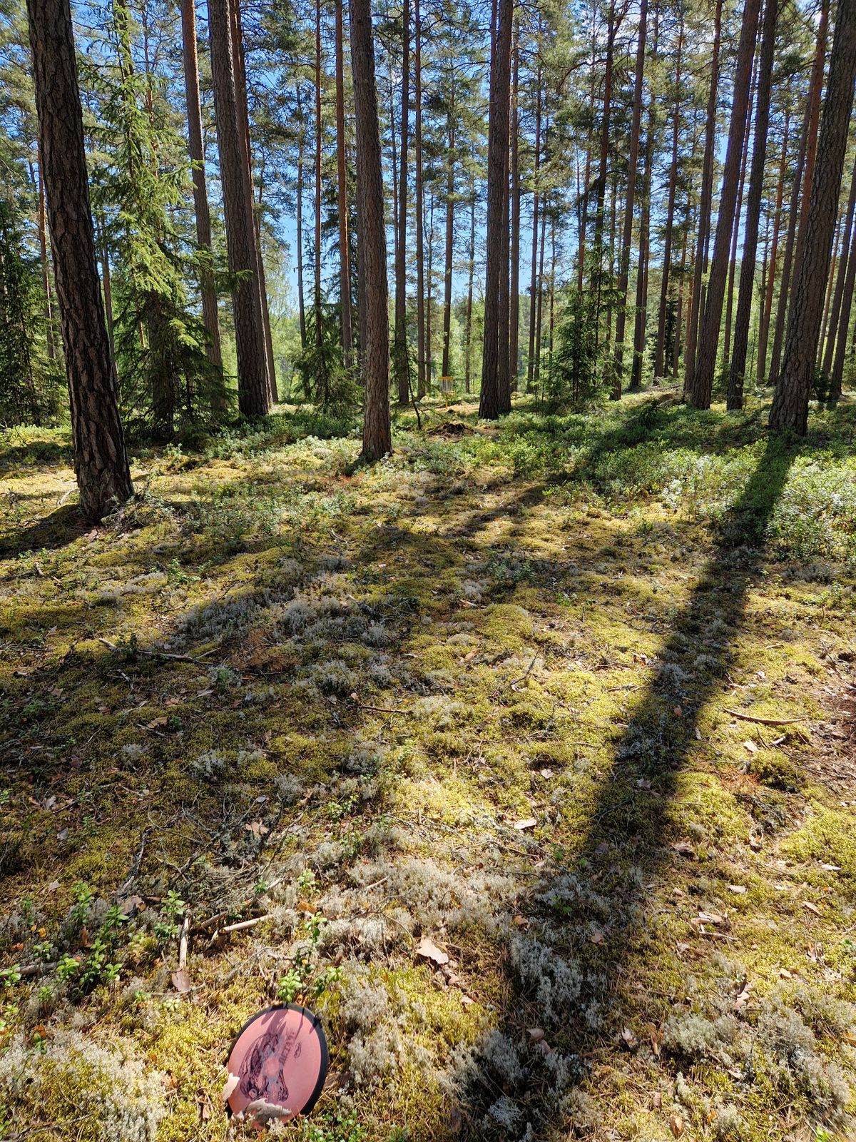 Hål 8