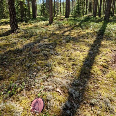 Hål 8