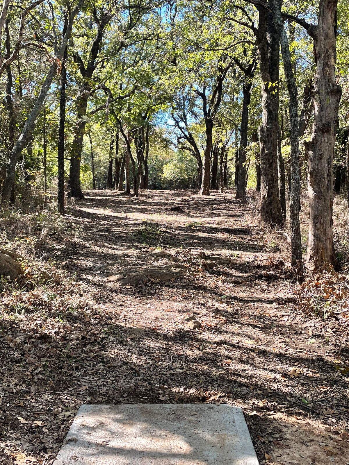 Hole 8 tee