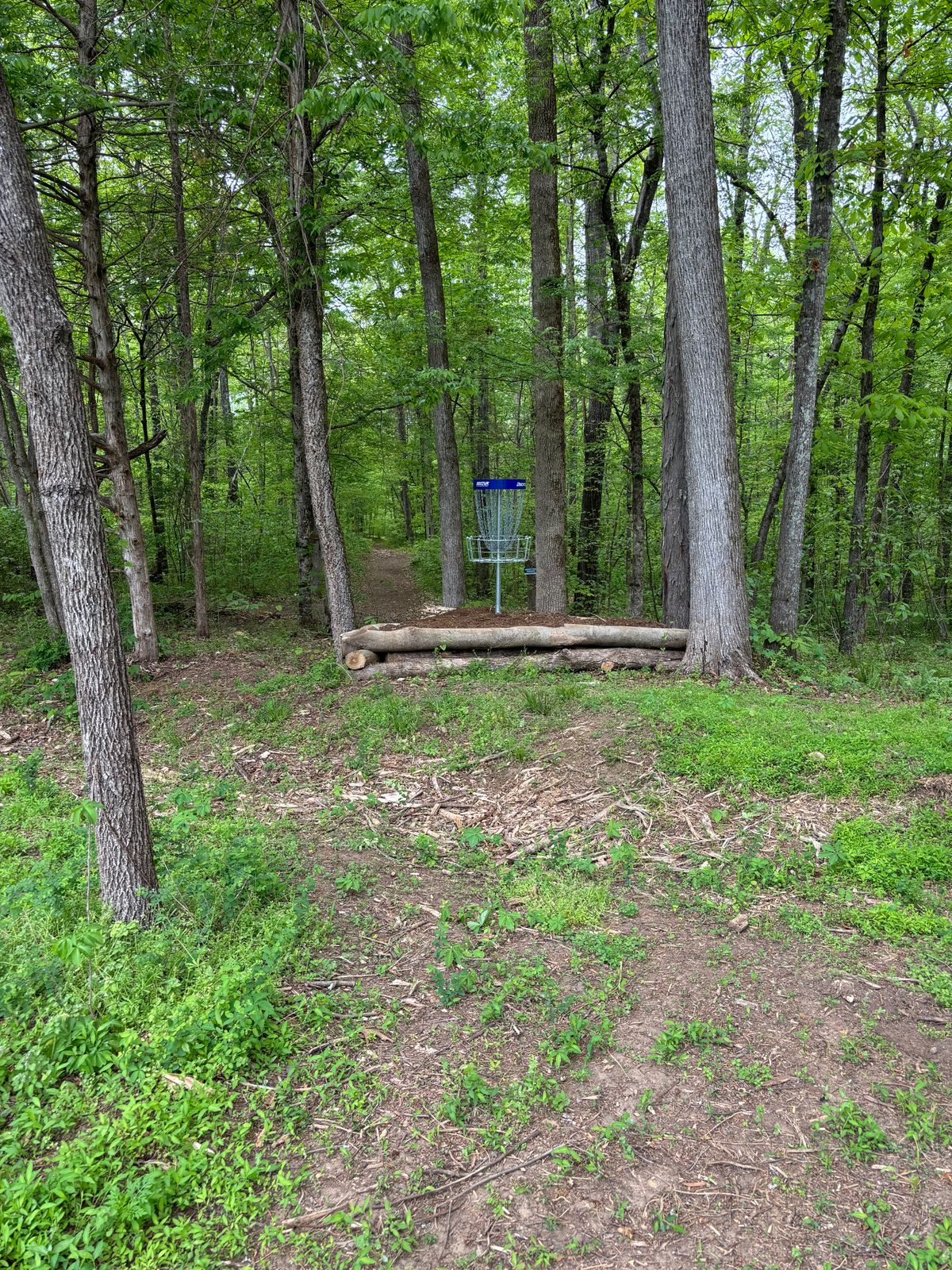 Hole 8