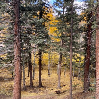 Hole 1 in October