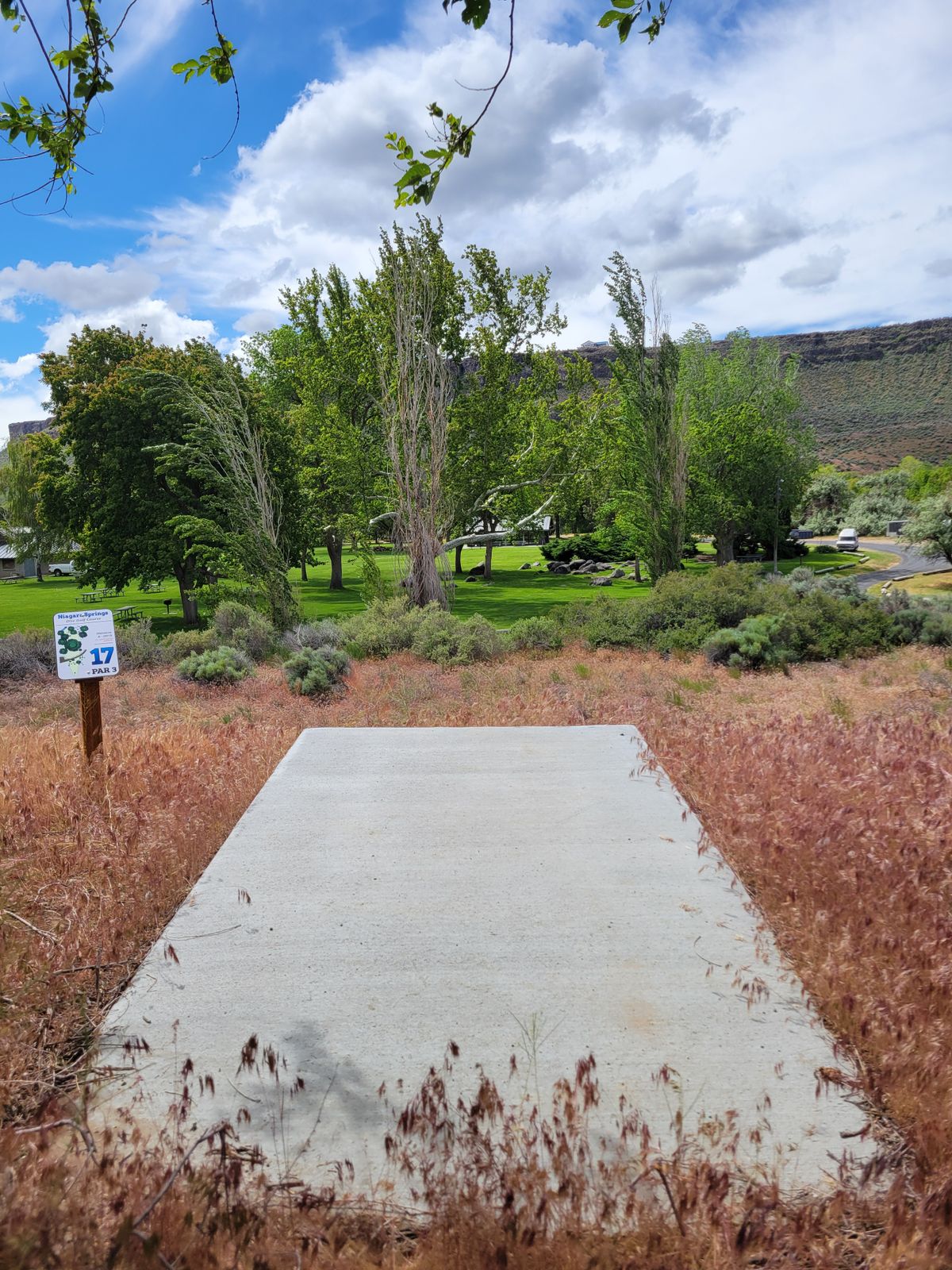 Hole 17 teepad