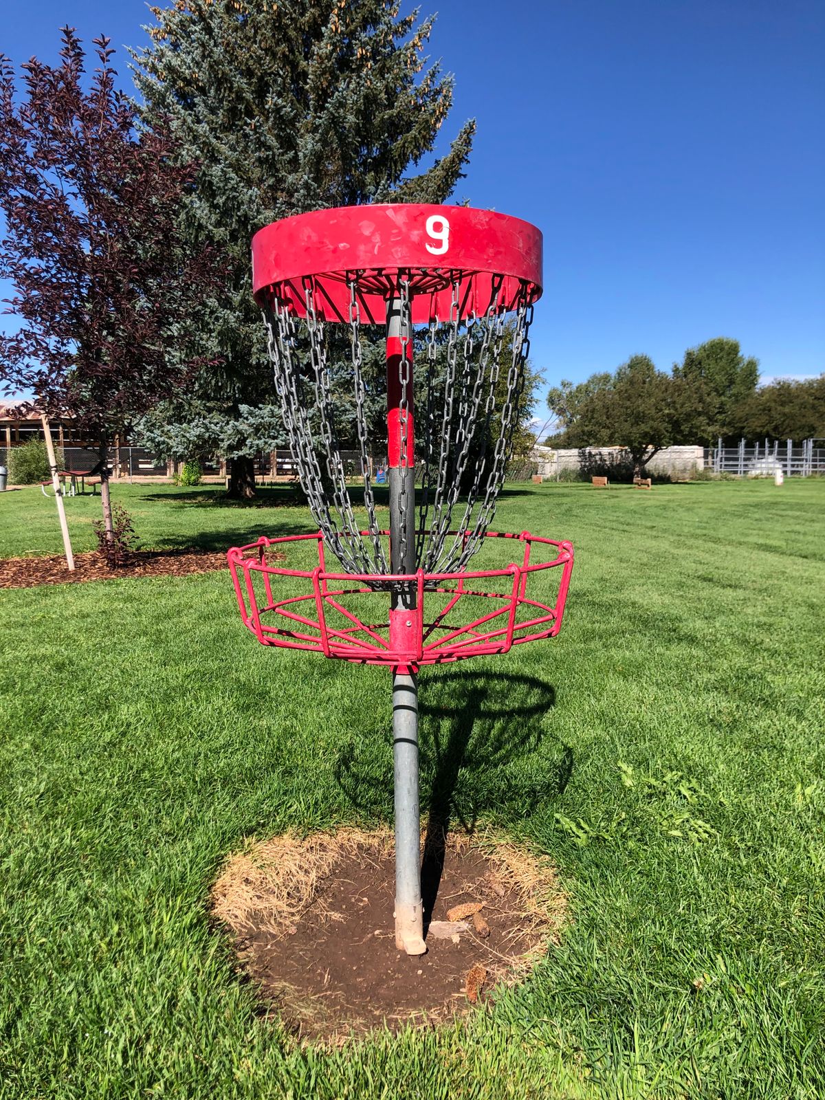 Hole 9 basket