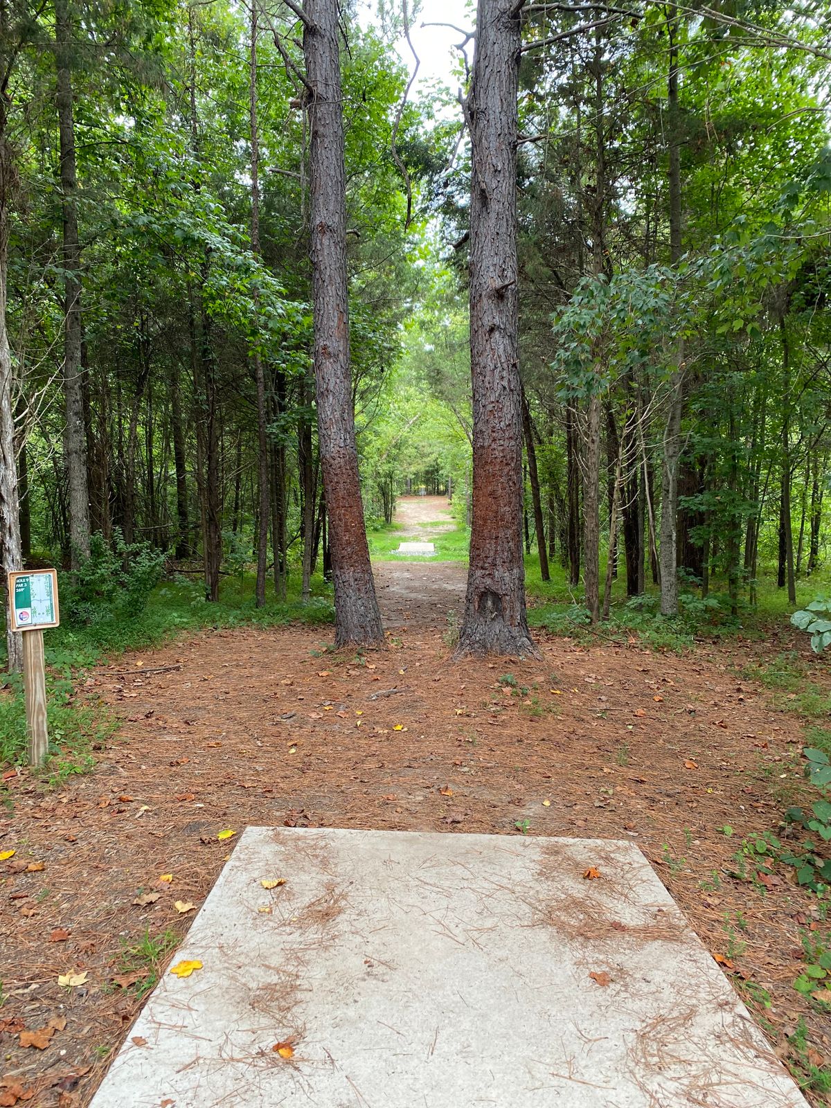 Hole 9