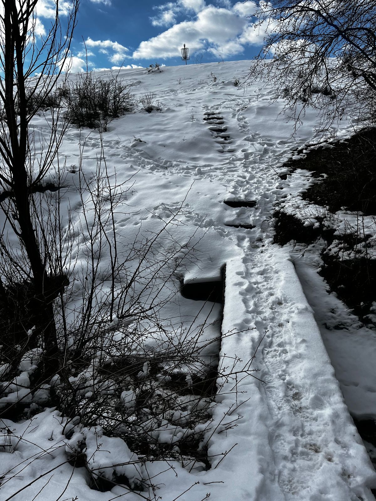 Beautiful snowy day at Beacon Hill!