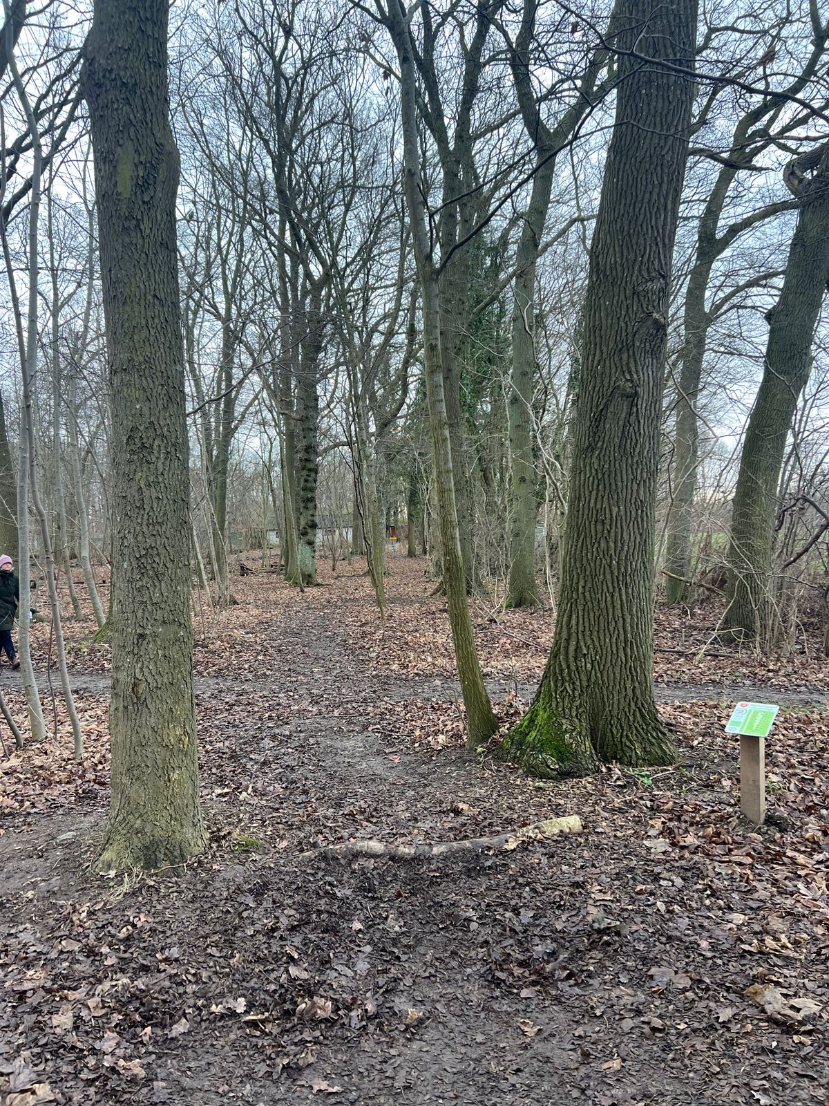 Hole 2