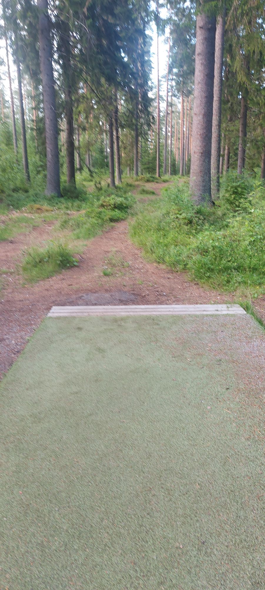 Tarinalaakso New Course tee 11