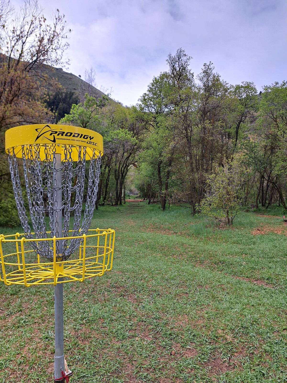 4 basket