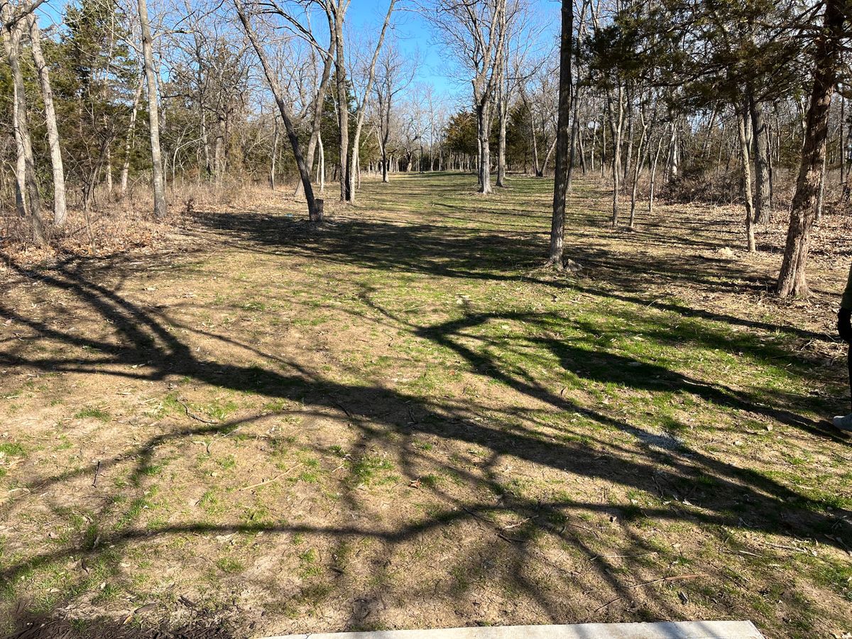 Hole 16 tee