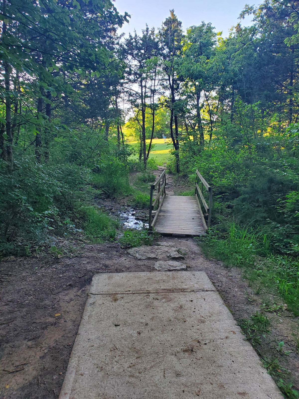 Hole 15 Short Tee Pad