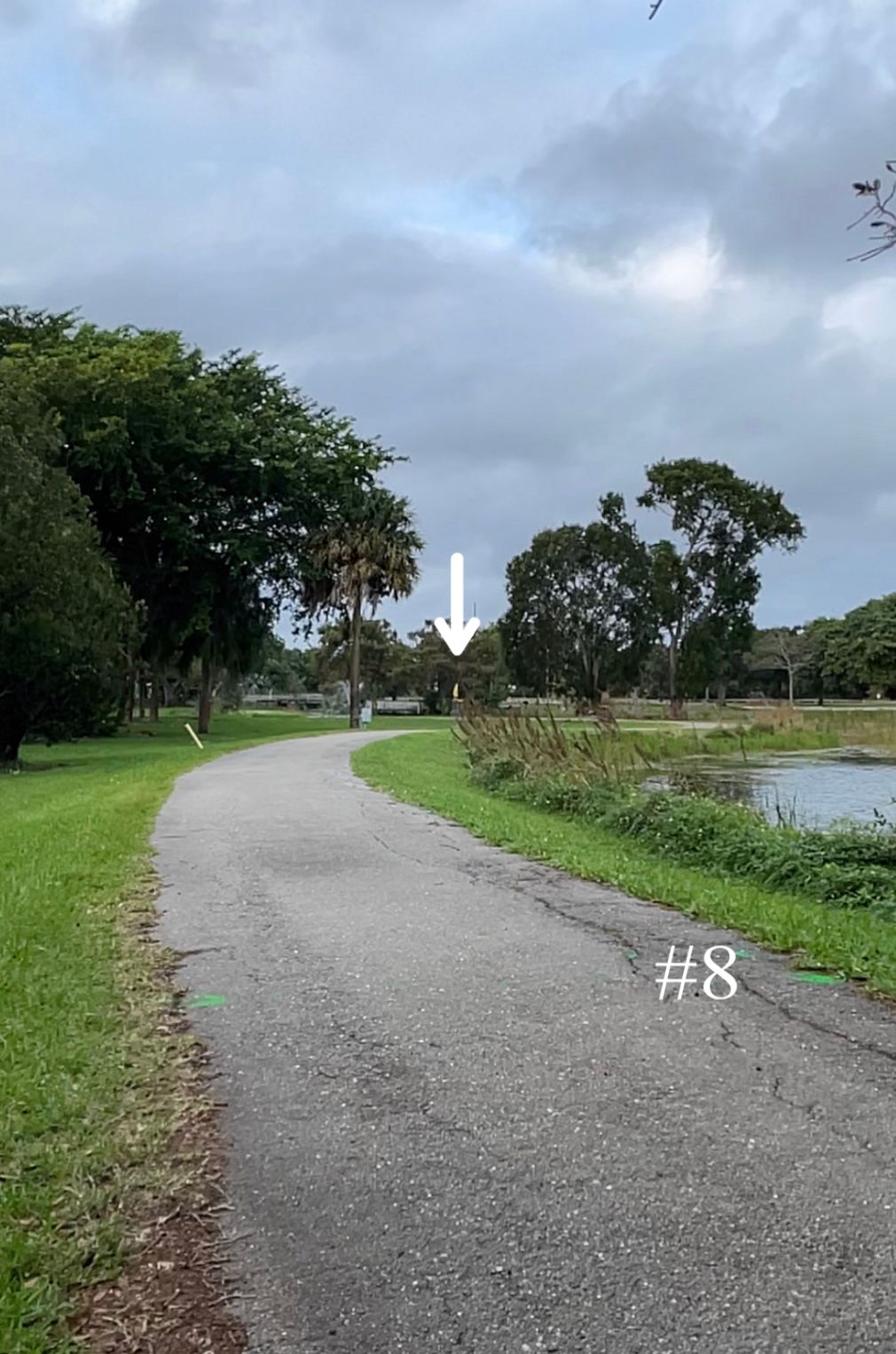 Hole 8, Short Tee
