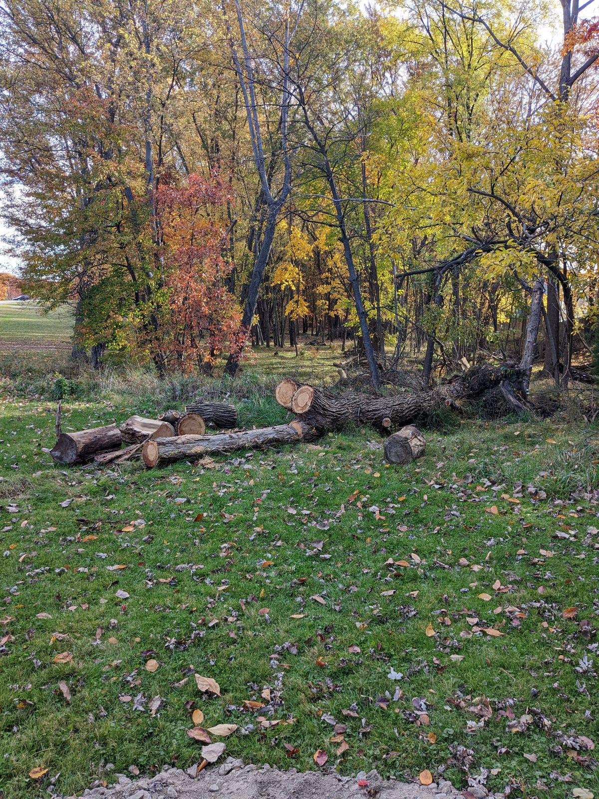 Hole 13 tee