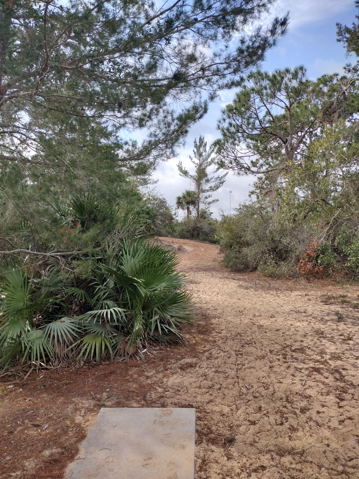 Hole 9 tee