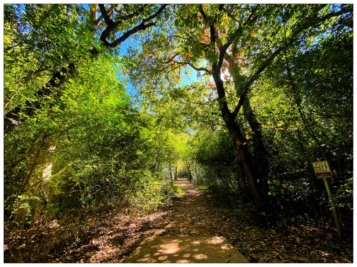 Hole 7 - wide view from pad