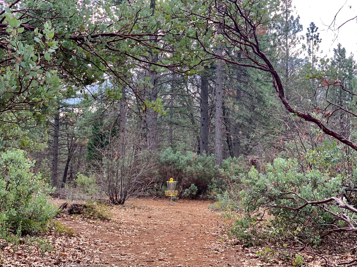 Hole 11, D position.