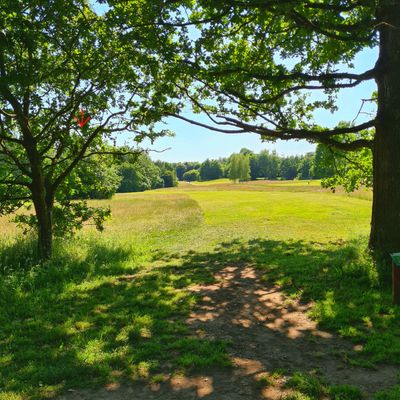 Hole 12, view from yellow tee. Basket hidden in the back.