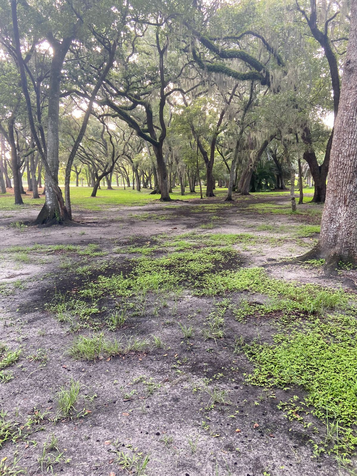 North East Coachman Park