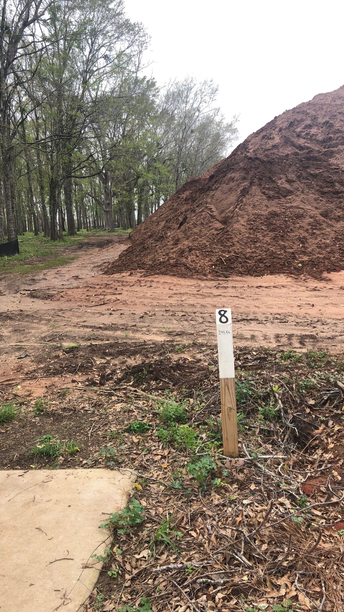 Ginormous mound of dirt on Hole 8 fairway will force righties to throw a forehand or backhand anny.