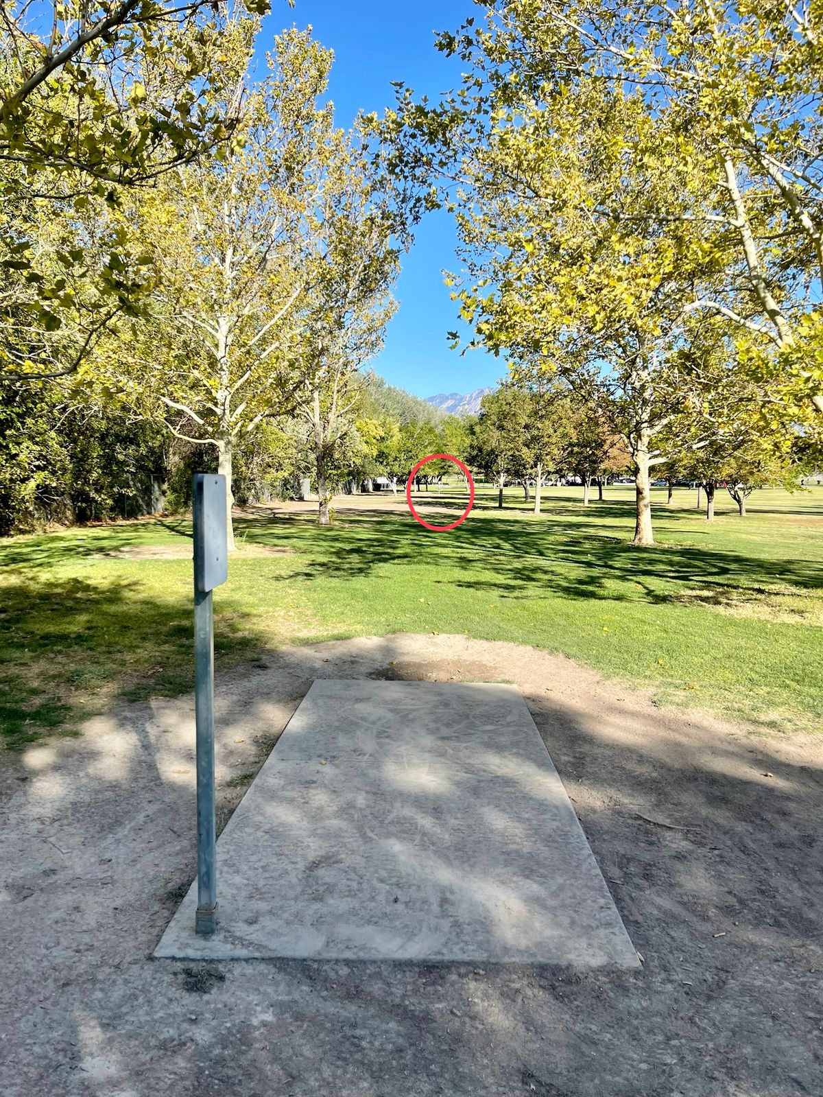 Hole 9 Middle Basket