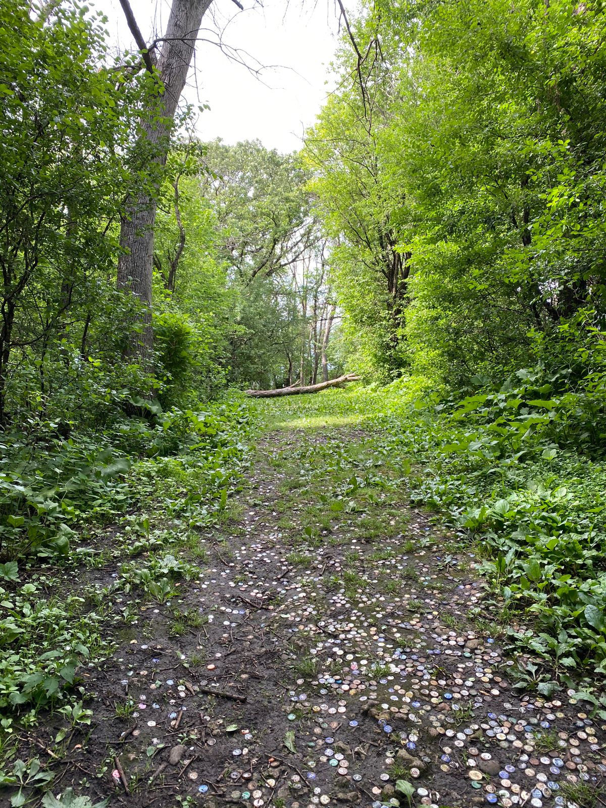Tee-Pad look from Hole 7