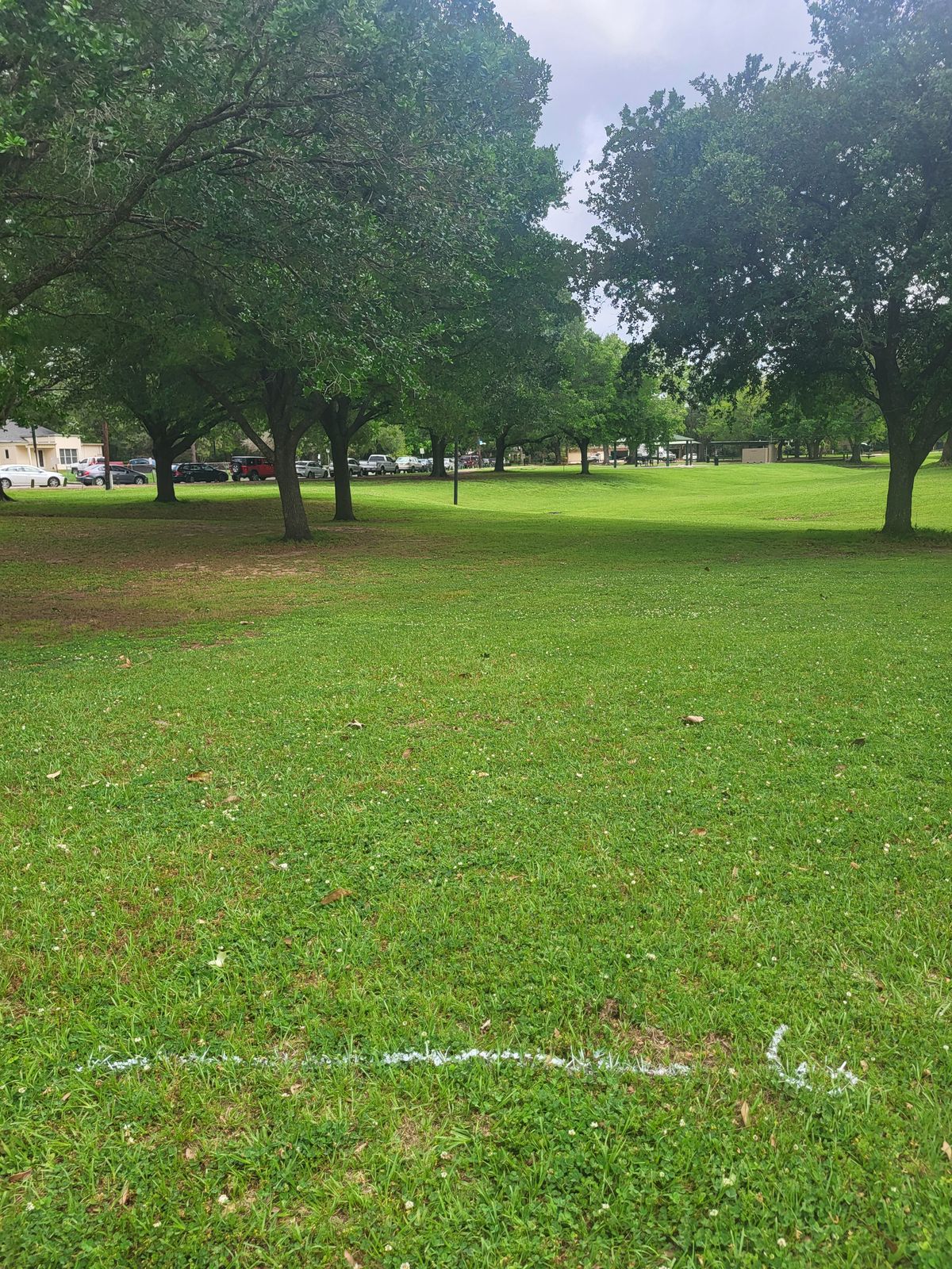 GG-Hole #6 - On or across walking path is OB.