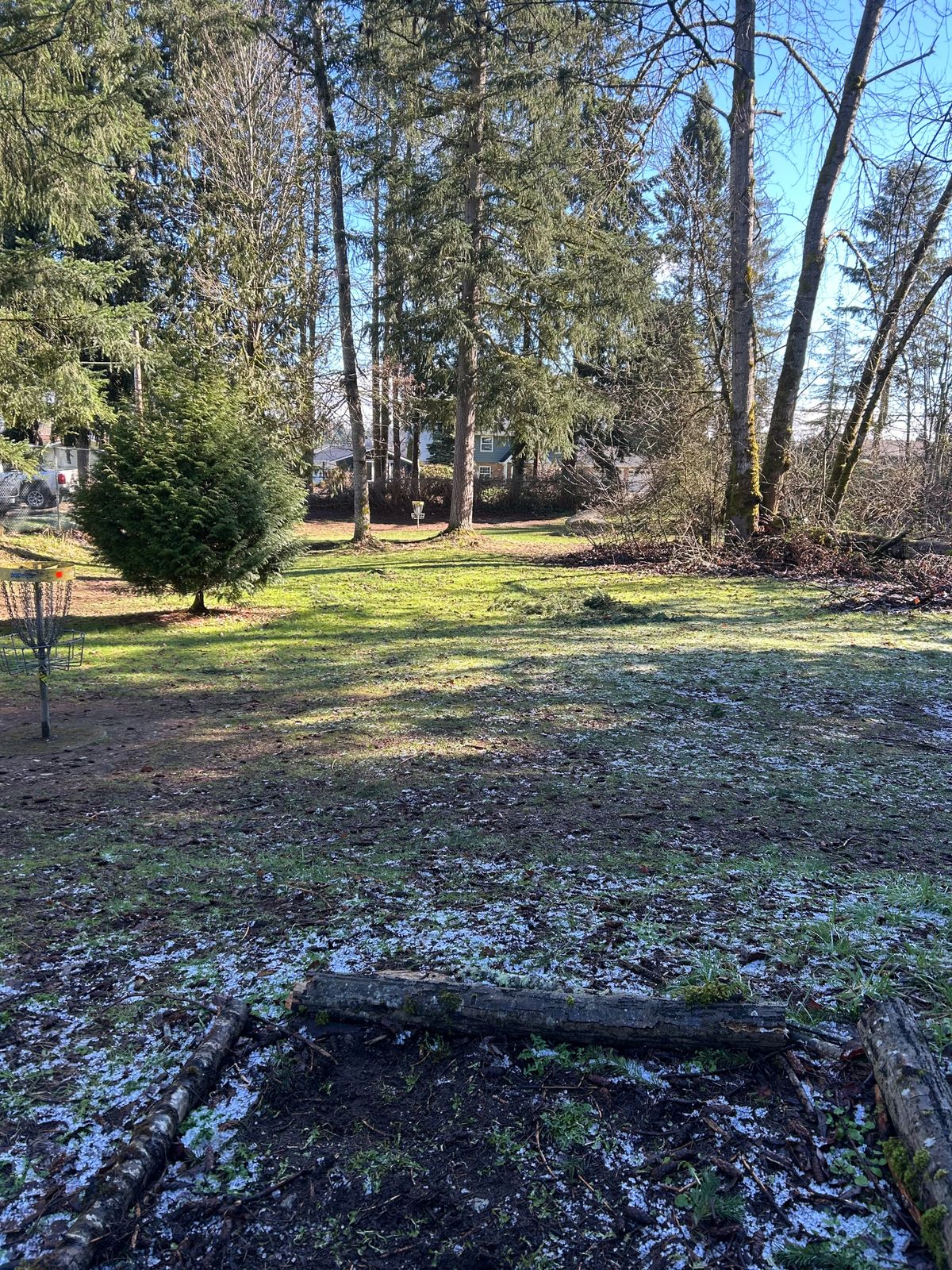Hole 12. Double mando between trees