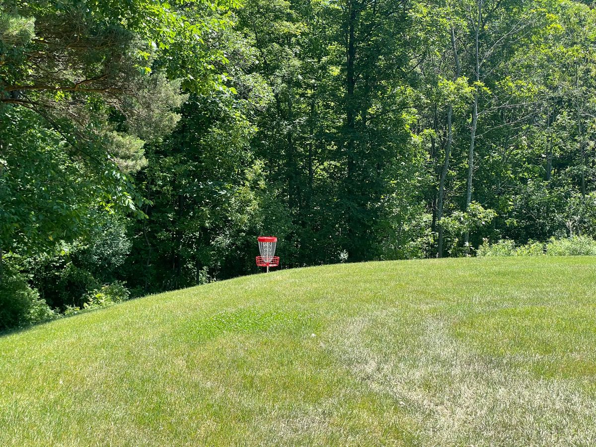Hole 3 basket