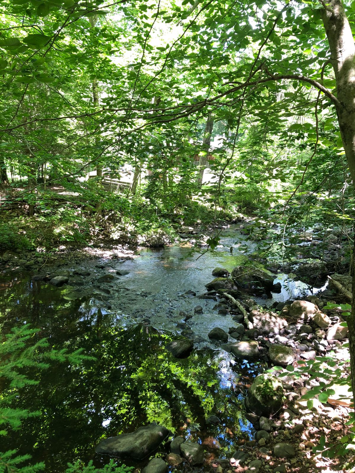 Stream