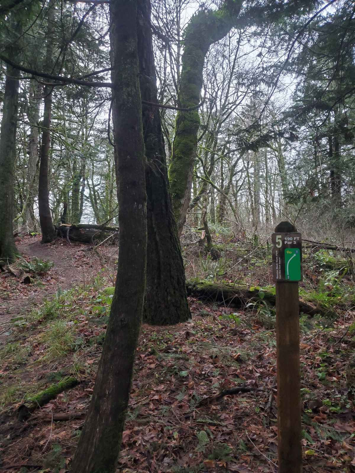 Hole 5 on the East 9