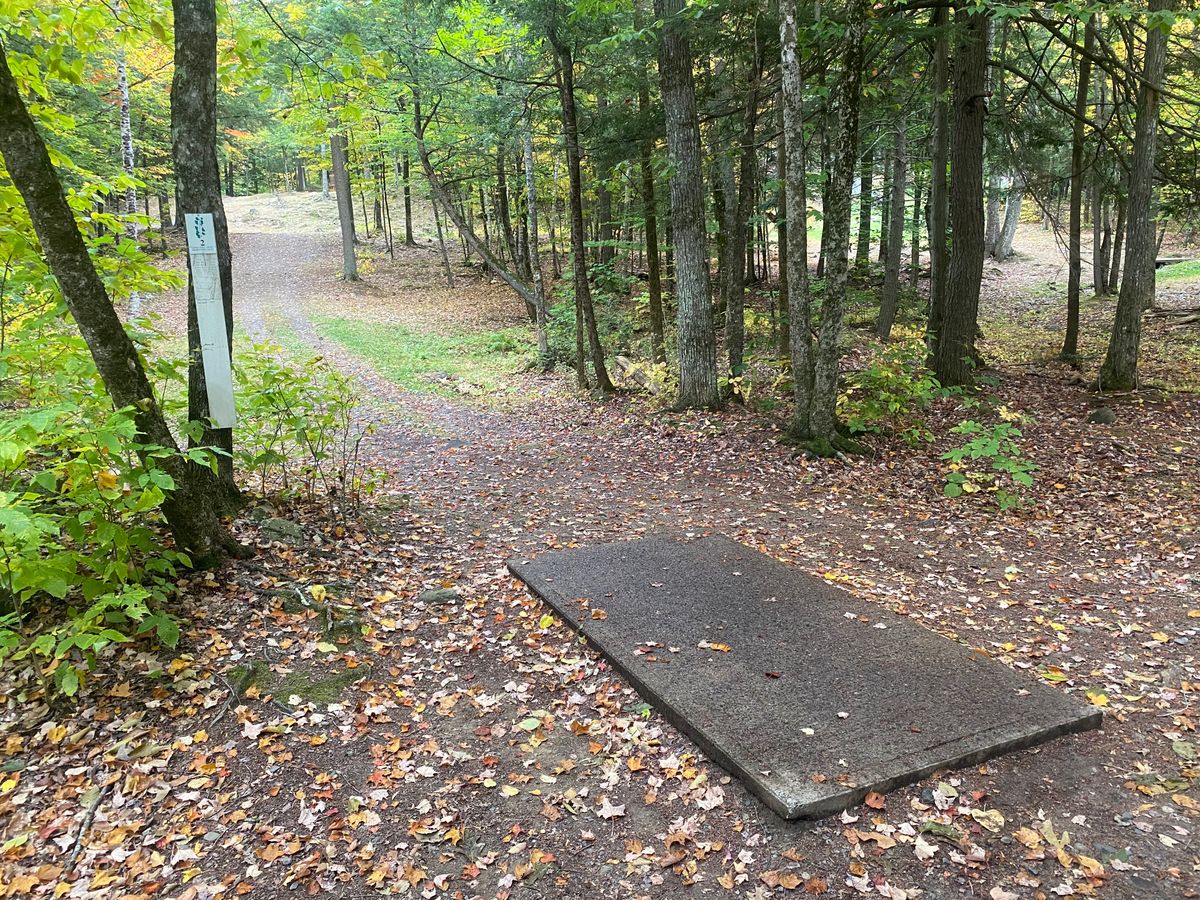 Teebox 2