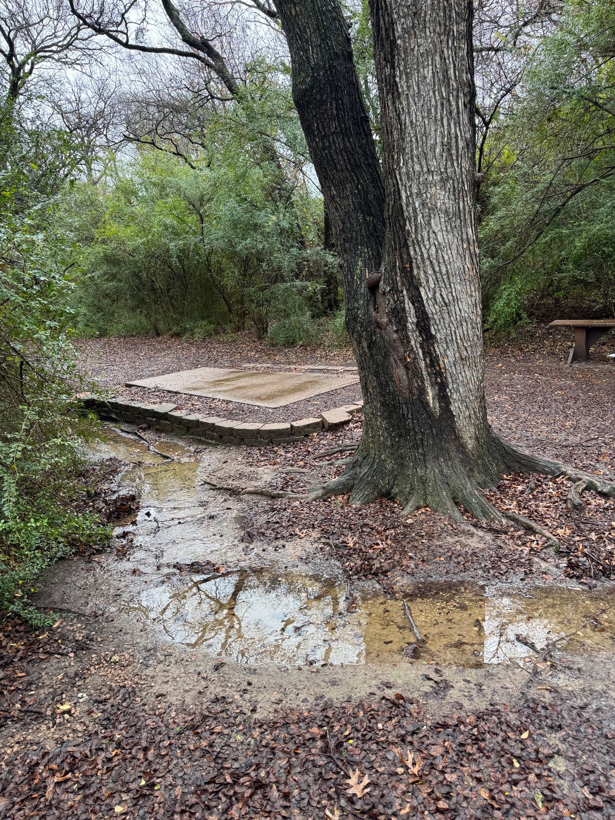 Hole one river