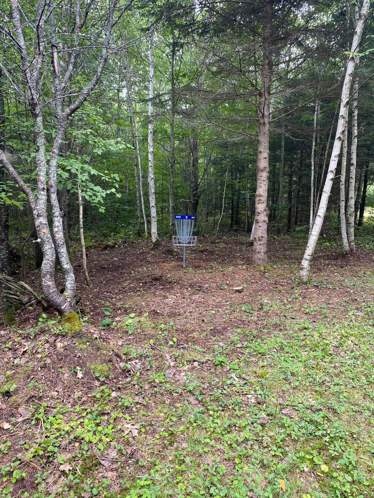 Hole 3 short