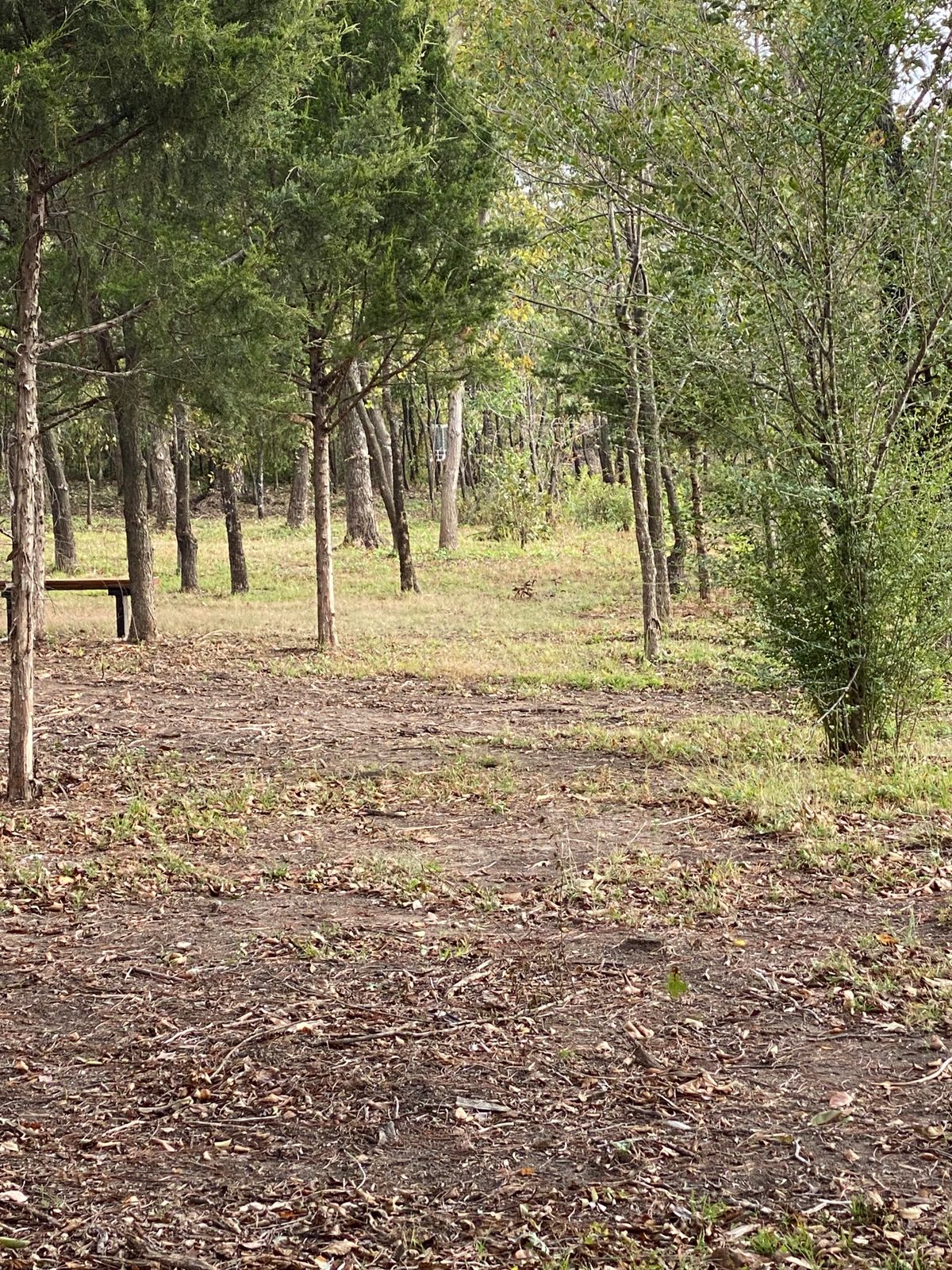 Hole 5 Pad