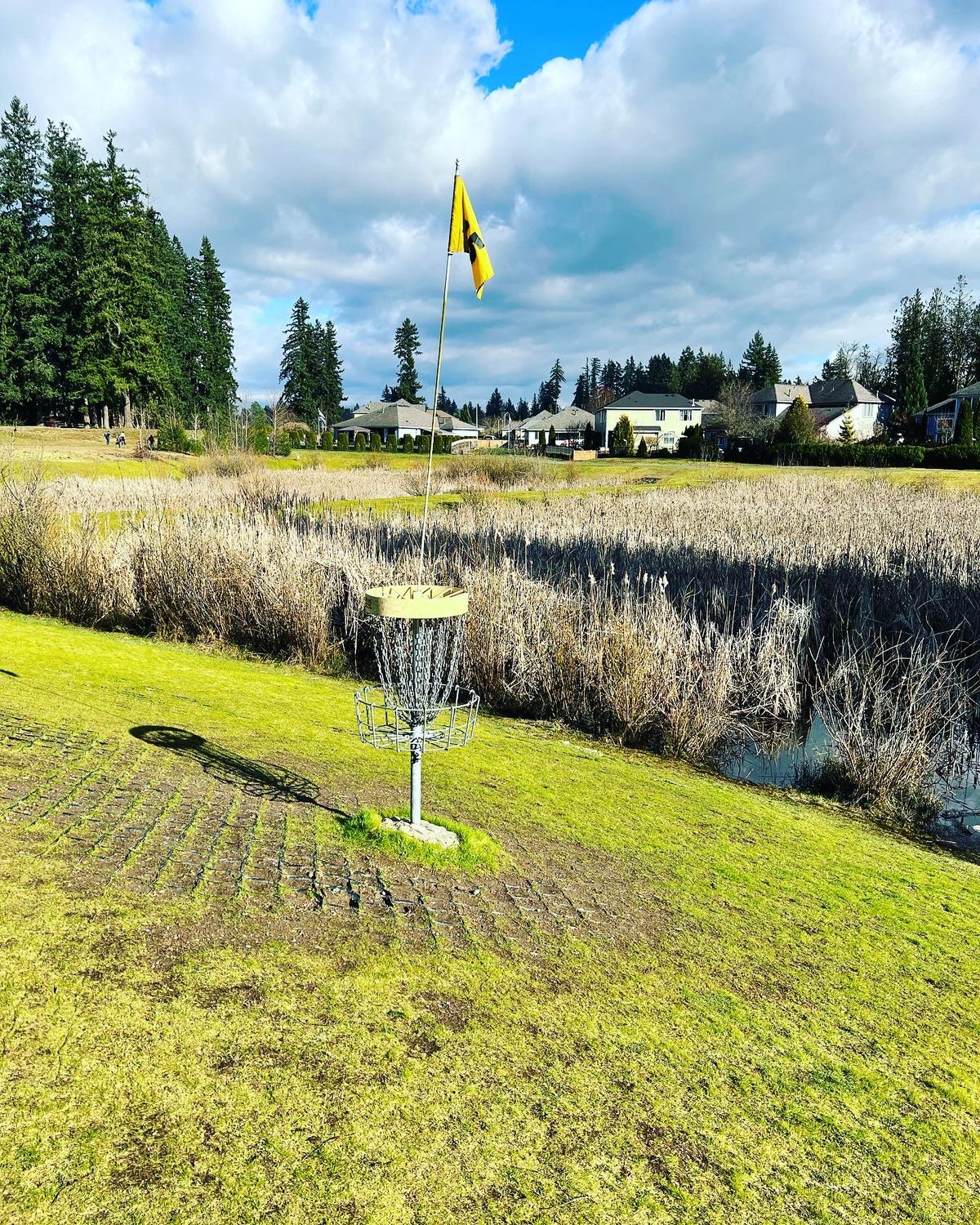 Hole 15 green