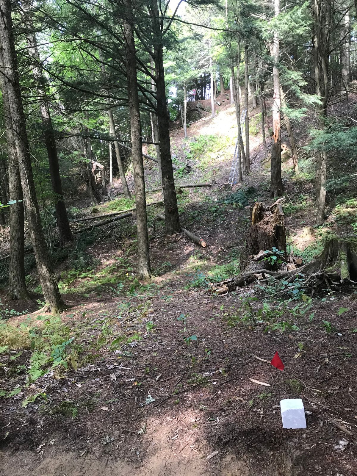 Updated hole 2 photo. All cleaned out!