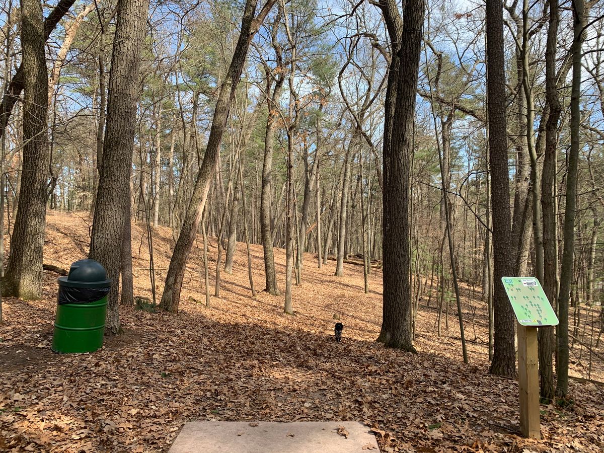 Hole 8, one of the most challenging to putt. Better pancake that shot unless you want a 50 foot roll