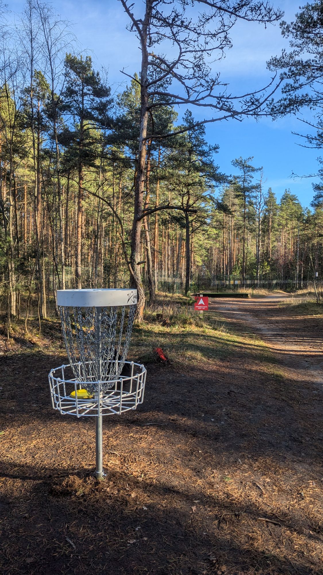 Hole 9 basket.