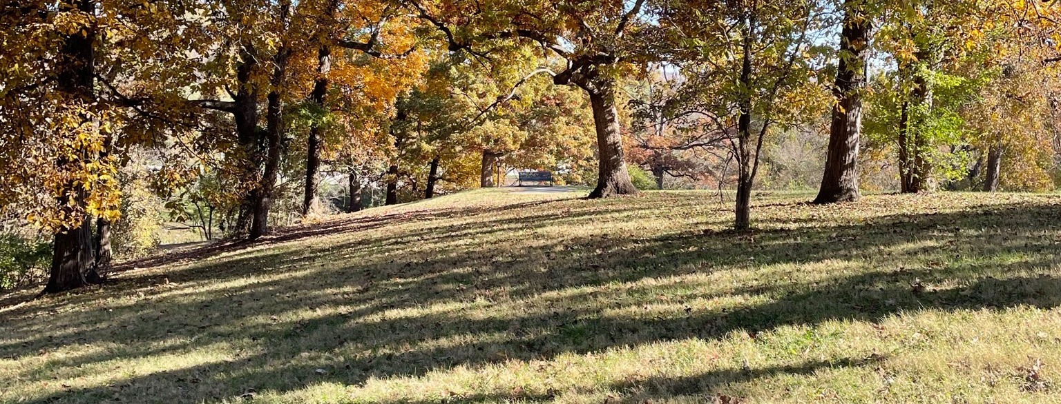 Cass County Disc Golf