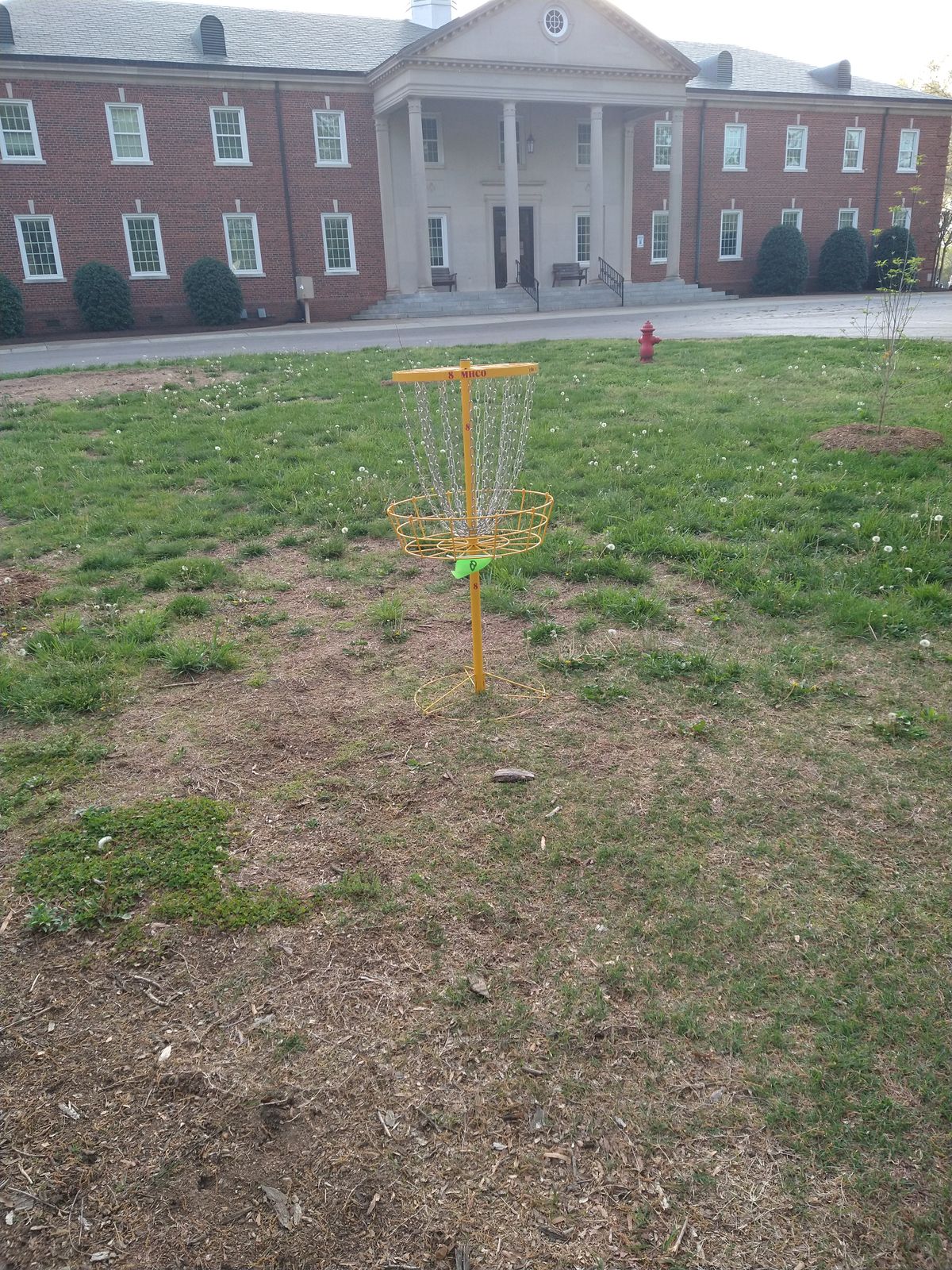 Basket 8 long
