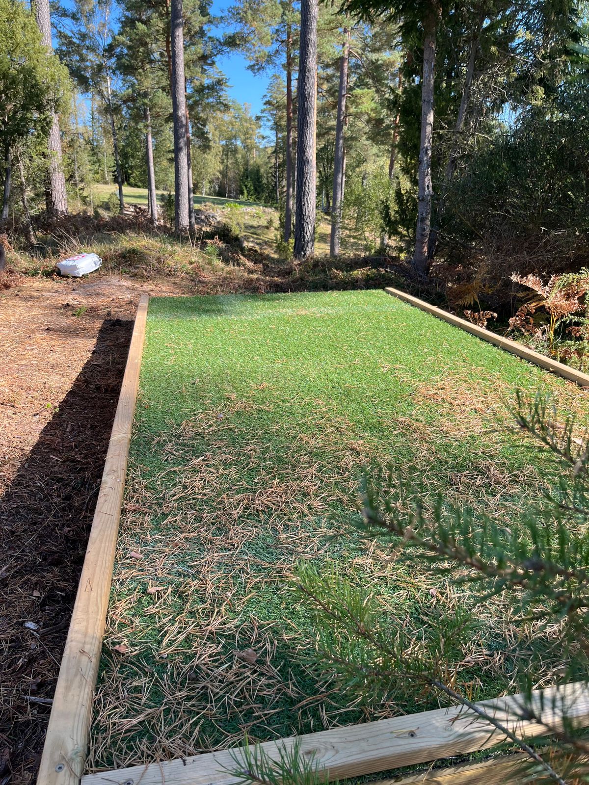 Hole 2 teebox 🥏💨