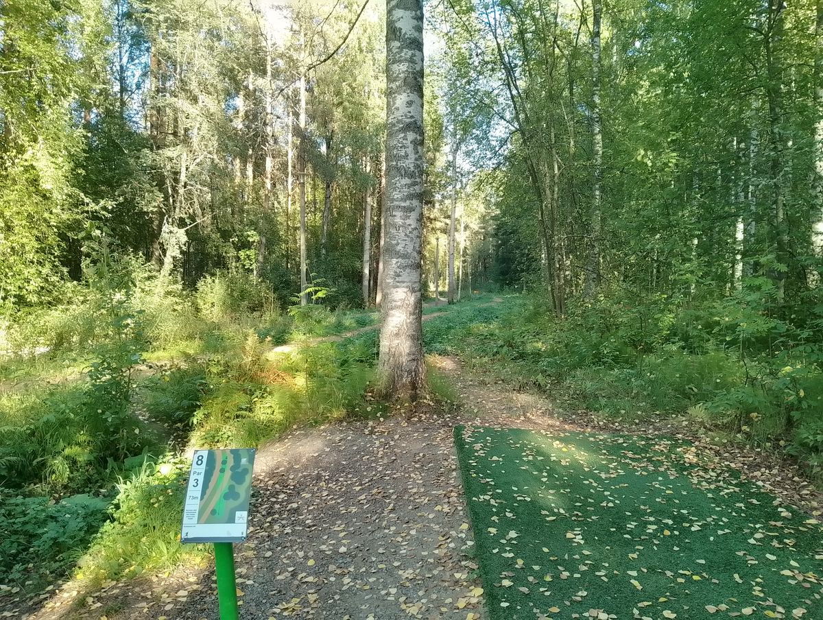 Hole #8.