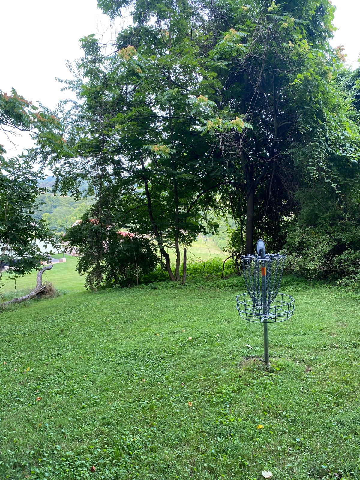 Hole 5 green