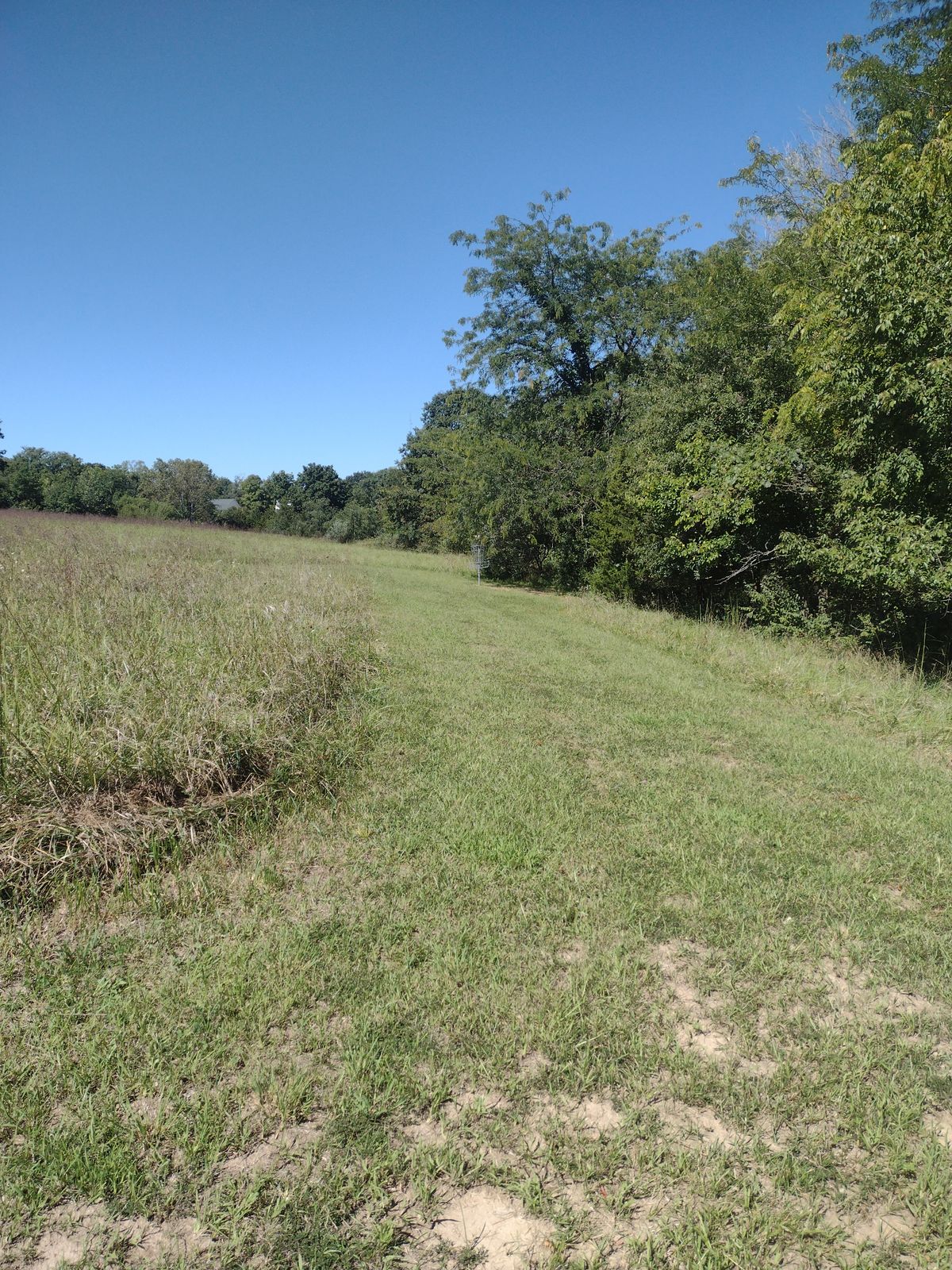Hole 8 Basket