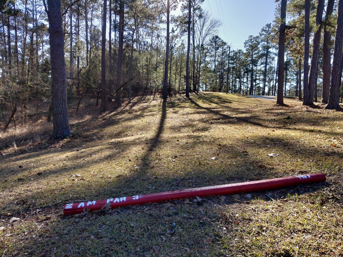 Hole 2 Amateur Tee